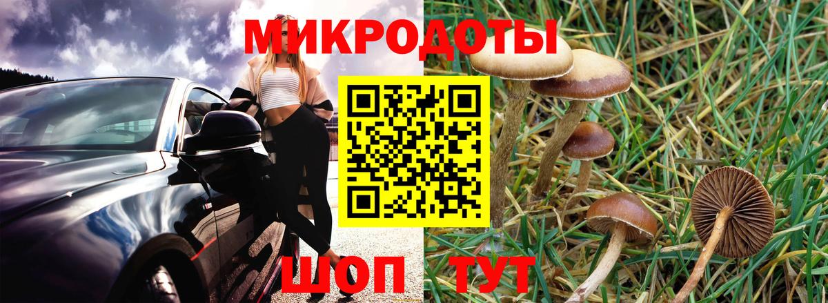 Клинцы  Псилоцибиновые грибы мицелий  Вход с VPN 