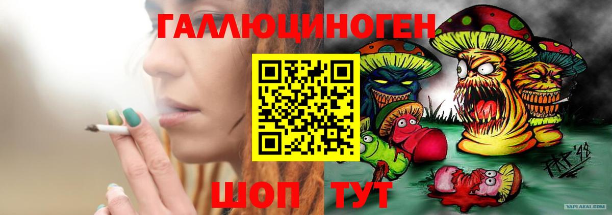 Псилоцибиновые грибы прущие грибы Клинцы